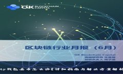 tp钱包丢币怎么办？详细指南与解决方案解析